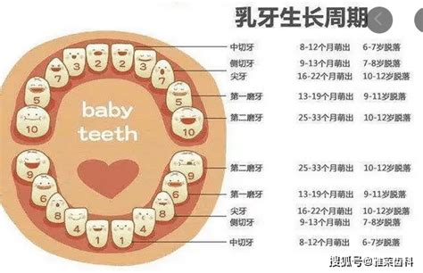 大牙位置